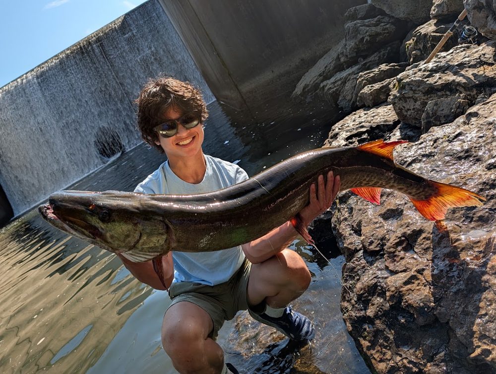 Alden holding a large muskie below a dam